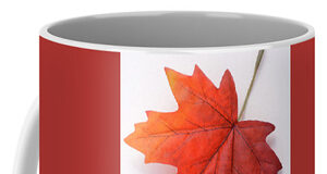 Canada tries to get it right canada day, mug