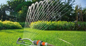 Everyone encouraged to conserve water during summer on Vancouver Island lawn, sprinkler