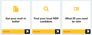 how you vote, ndp