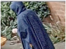 West Shore RCMP investigate mischief at COVID vaccine clinic rcmp