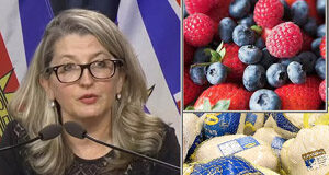 Food supply stable as flood-impacted agriculture recovers lana popham, berries, turkey