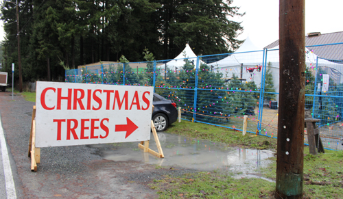 christmas trees, signage