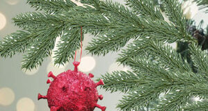 Dec 28: another 1,785 COVID cases in BC covid, xmas ornament