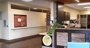 COVID outbreaks at 5 long-term care homes eden garden, long term care