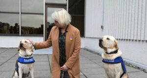 Bonnie & Henry meet Dr Bonnie Henry dr henry, dogs