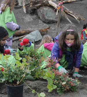students, planting