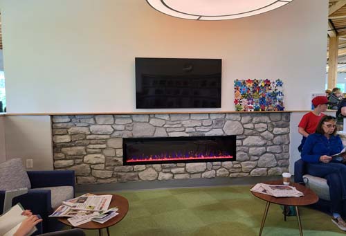 fireplace, lounge, library