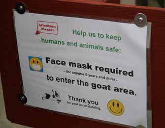 mask, animal farm