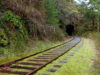 Another grant to study E&N island rail for easing commuter traffic island rail corridor