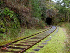 Another grant to study E&N island rail for easing commuter traffic island rail corridor