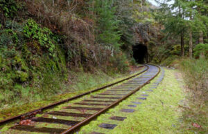 Another grant to study E&N island rail for easing commuter traffic island rail corridor