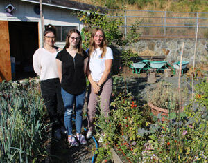 belmont students, garden