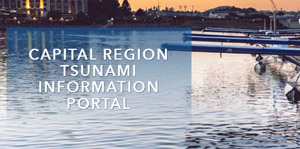 tsunami info portal