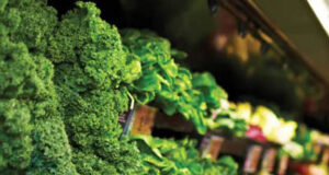 Steps forward in assessing food security grocery store, veggies