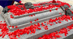 Party leaders, MPs, MLAs & mayors at 2025 Remembrance Day ceremonies poppies, remembrance