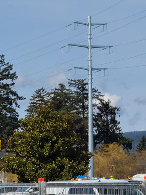 hydro pole, new lines