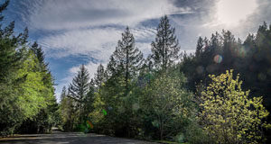 Sooke Potholes gateway enhancements up to May long weekend sooke potholes, parking lot