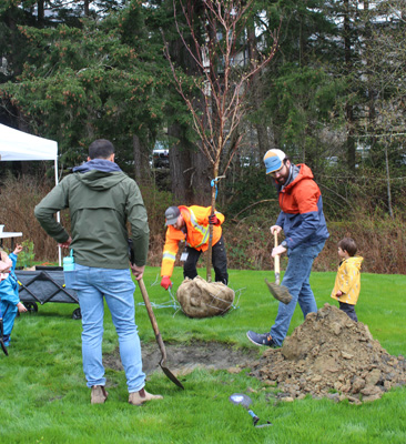 trees, planting, langford, earth day