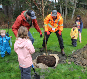 trees, planting, langford, earth day