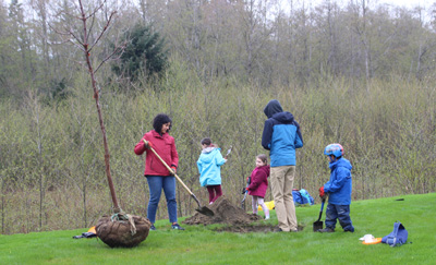 family, tree, planting, langford, earth day