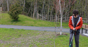 Earth Day 2023: Proposed Garry Oak meadow recognized by Colwood environmental group oak tree, cenic, colwood, student