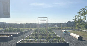 Digging into food gardens at PEXSISEN garden boxes, growing food, pexsisen, sd62