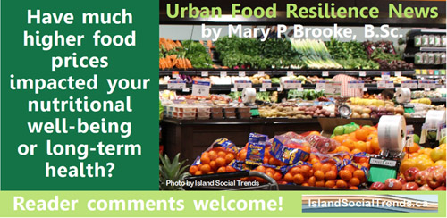 urban food resilience, wordmark, higher food prices
