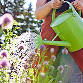 watering can, gardens