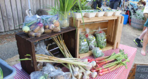 Local rural farming helps south Vancouver Island food resilience vegetables, produce, night market, sooke