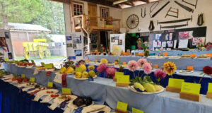 Rides & displays at Luxton Fall Fair 2023 produce, fall fair, luxton, langford, veggies