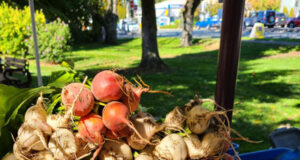 Goldstream Farmers Market wraps up 2023 season langford, farmers market