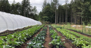 More help needed for BC farmers, says Furstenau farm, vancouver island
