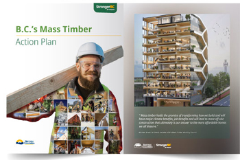 mass timber, action plan