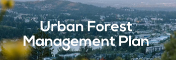 langford, urban forest management, wordmark