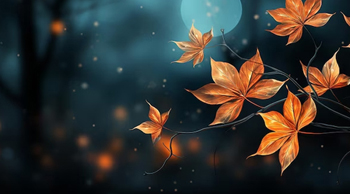 leaves, night, sky
