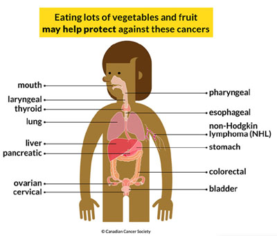 fruits, vegetables, cancer