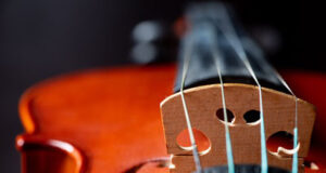 West shore gets about 2.4% of April-Sept 2023 arts & parent council grant funding viola, musical instrument, arts