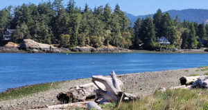 After-storm cleanup at Whiffin Spit on Jan 22 whiffin spit, summer