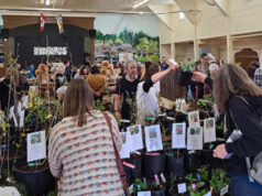 Robust turnout for Sooke Seedy Saturday 2024 sooke seedy saturday