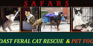 Letter: Preference to one cat rescue over another safars, pet book bank, sooke, margarita dominguez