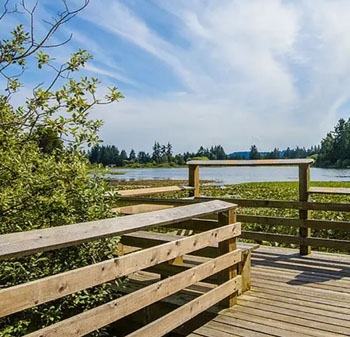 florence lake, langford