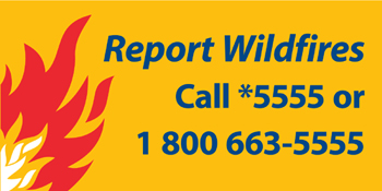 report wildfire, bc wildfire