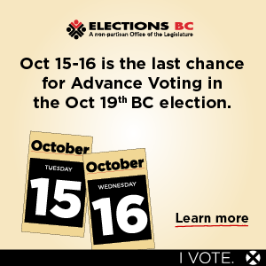 advance voting, last chance, October 15 and 16, 2024