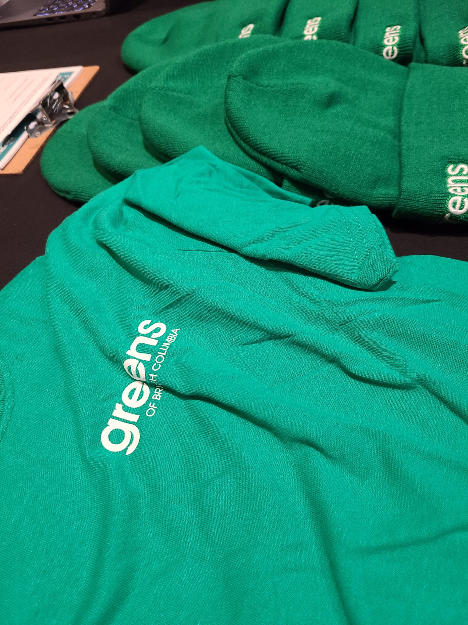 BC Greens celebrate Election 2024 in Victoria Island Social Trends