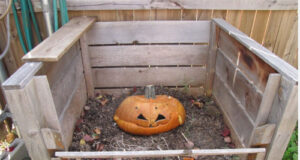 Composting or donating your Halloween pumpkin pumpkin, compost