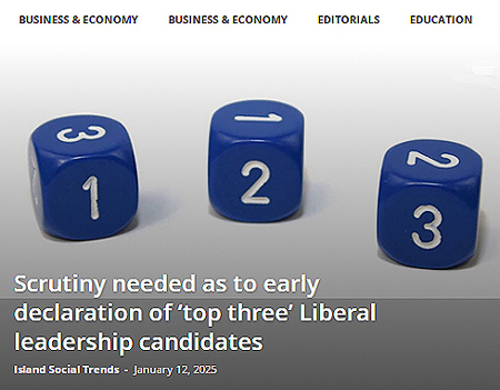 ist article, liberal leadership race