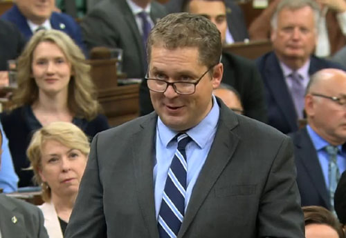 andrew scheer