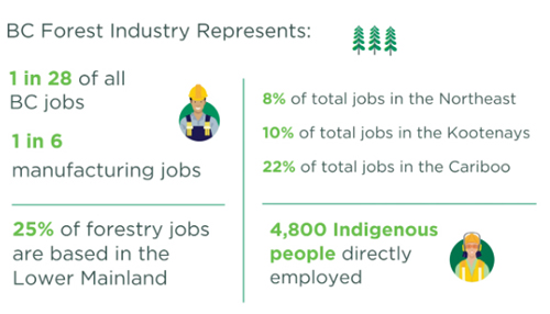 forest sector jobs, COFI