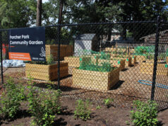 Langford’s first community garden needs sufficient Budget 2026 funding Porcher Park Community Garden, langford