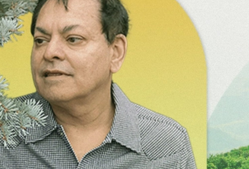 rick doman, forestry consultation